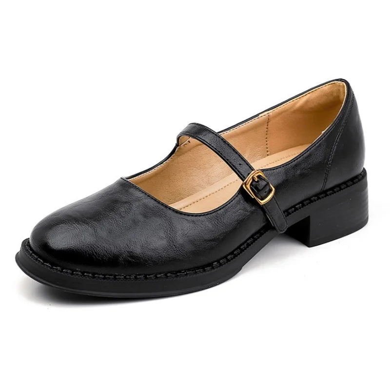 Elegant Leather Mary Jane Shoes for Women with Round Toe Buckle Strap Block Heel Vintage Style