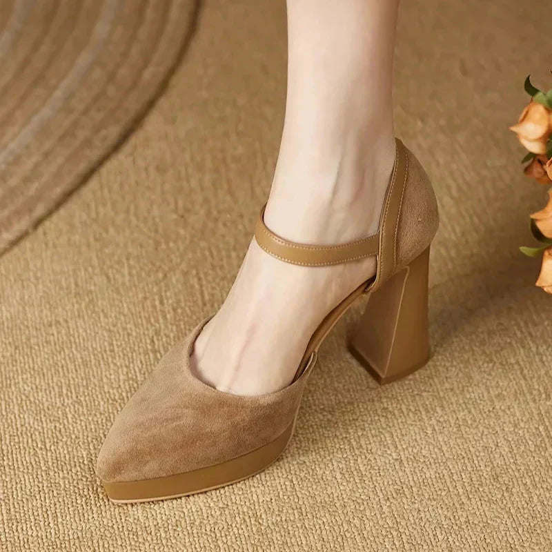 Stylish Suede Platform Pumps for Women with Mary Jane Ankle Strap Chunky Heel Style